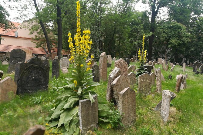 Private Stories of Jewish Prague Walking Tour - Klausen Synagogue and Judaica Collections