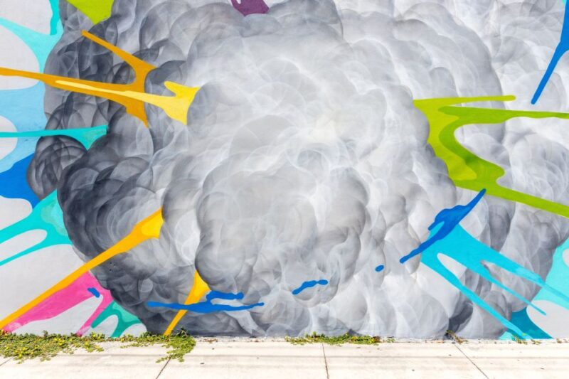 Private Street Art Tour in Miami - Explore Miami’s Colorful Street Art with a Private Guide