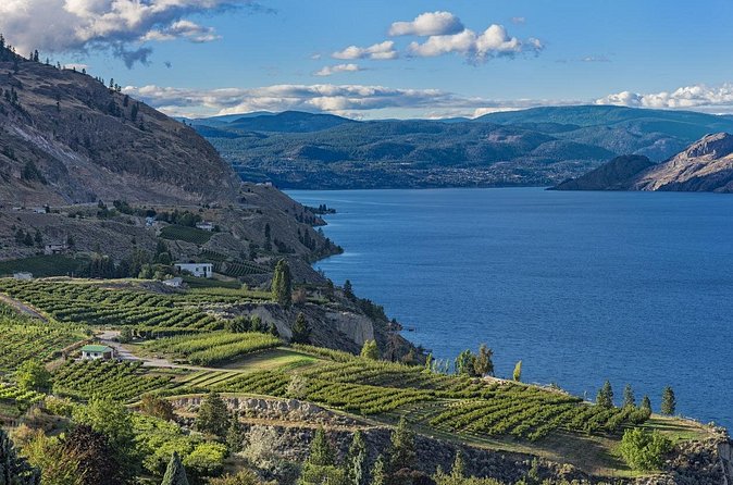 Private Summerlands Bottleneck Drive Wine Tour from Kelowna - The Return to Kelowna and Reflection