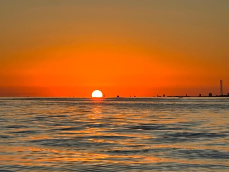 Private Sunset Cruise - Wildlife Watching Opportunities During the Cruise