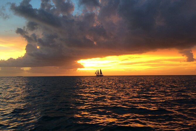 Private Sunset Cruise in Key Largo - Captivating Sunset Views and Wildlife Encounters in Key Largo