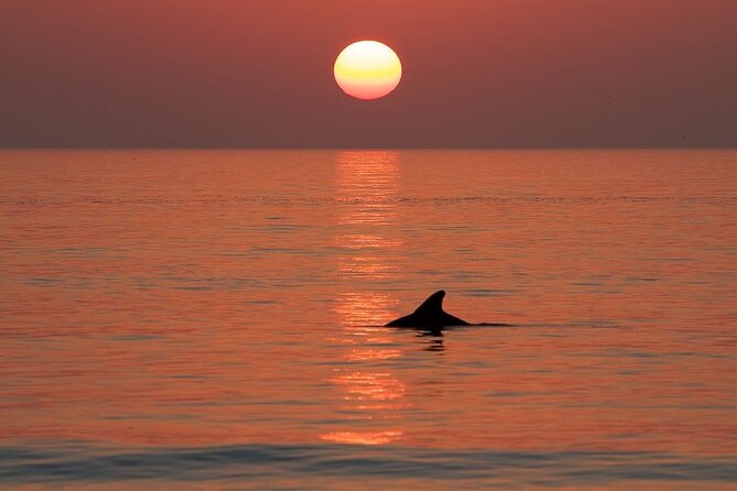 Private Sunset/Dolphin Cruise from Destin Harbor (Up to 6 people) - Family-Friendly Experience with Excellent Service