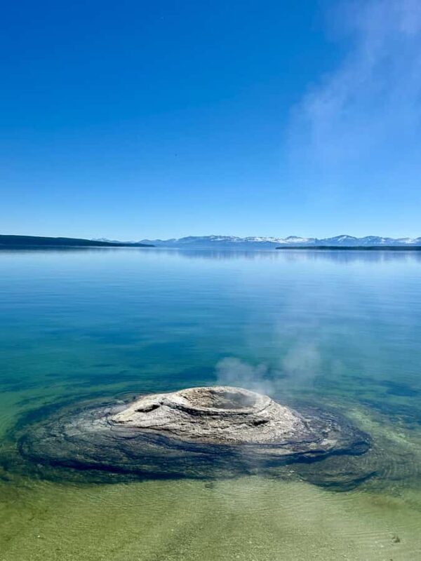 Private Sunset Safari of Grand Teton National Park - Scenic Stops and Wildlife Viewing Locations
