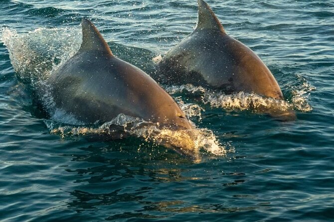 Private Sunset Sail in Key West Florida - Enjoy a Personalized Sunset Sail in Key West for $395