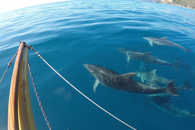 Private Sunset Tour in a Vintage Gozzo on Elba Island - Key Points