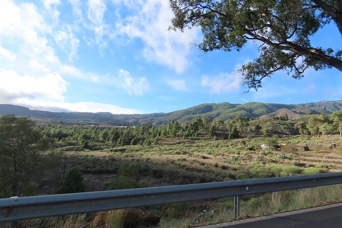 Private Sunset Tour in Tenerife - Key Points