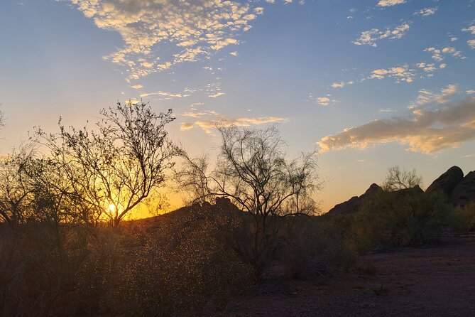 Private Sunset Walking Tour -Sonoran Desert Botanical Gardens 2h - What Makes the Desert Botanical Gardens Stand Out