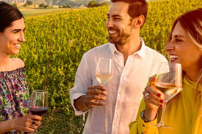 Private Superior Tasting of Extra Virgin Olive Oil and Wine - The Sum Up: A Genuine Taste of Emilia-Romagna