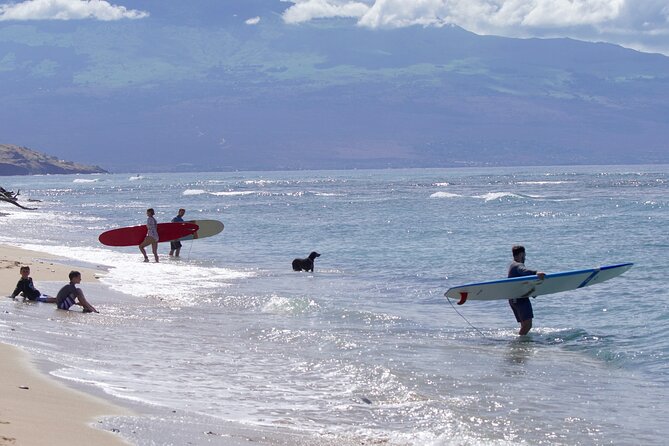 Private Surf Lesson for One Near Lahaina - Reviews Highlight the Instructor’s Expertise and Success