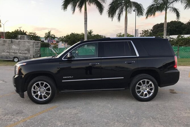 Private SUV from Airport to San Jose del Cabo hotels - Who Will Benefit Most from This Transfer?