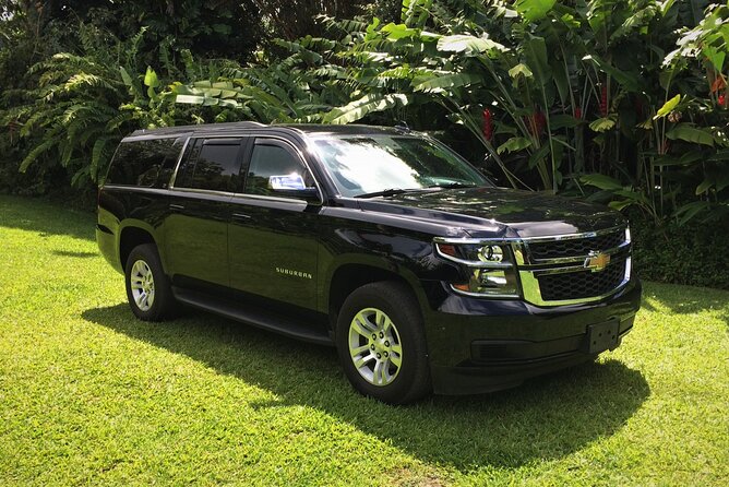 Private SUV Transfer- Lihue Airport to Lihue/Kapaa - How the Service Handles Flight Changes and Cancellations