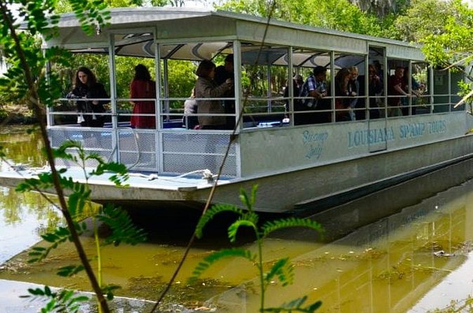 Private Swamp Tour on Pontoon Boat with Private Transportation - Fully Narrated Experience by a Local Captain