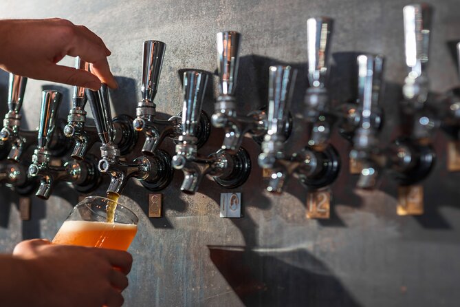 Private Swedish Beer Tasting Tour in Stockholm Old Town Pubs - Guide and Tour Experience