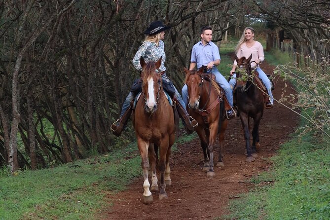 Private Sweetheart Horseback Ride - Who Will Love This Tour?