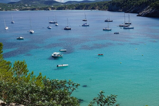 Private Swimming Cruise to the Athenian Riviera & Cape Sounion - Relaxing Sail Along the Enchanting Athenian Riviera