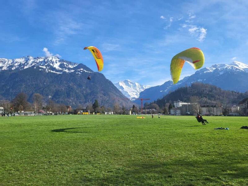 Private Swiss Alps Tour, Lakes, Villages, Waterfalls - Key Points