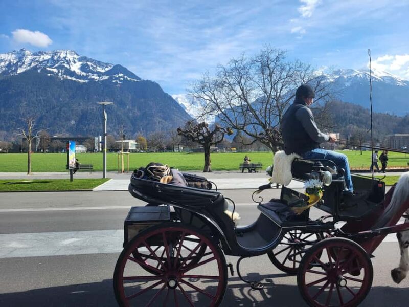 Private Swiss Alps Tour, Lakes, Villages, Waterfalls - Customization and Additional Options