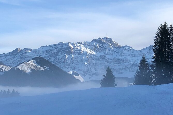 Private Swiss Chocolate, Cheese, Mountain Santis Tour with Pickup - Comfortable, Eco-Friendly Transportation with Personal Service