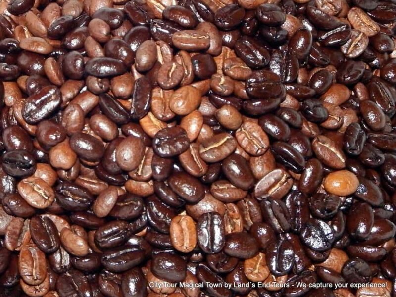 Private Tailor-Made Tour Todos Santos - Explore Todos Santos in Comfort and Style