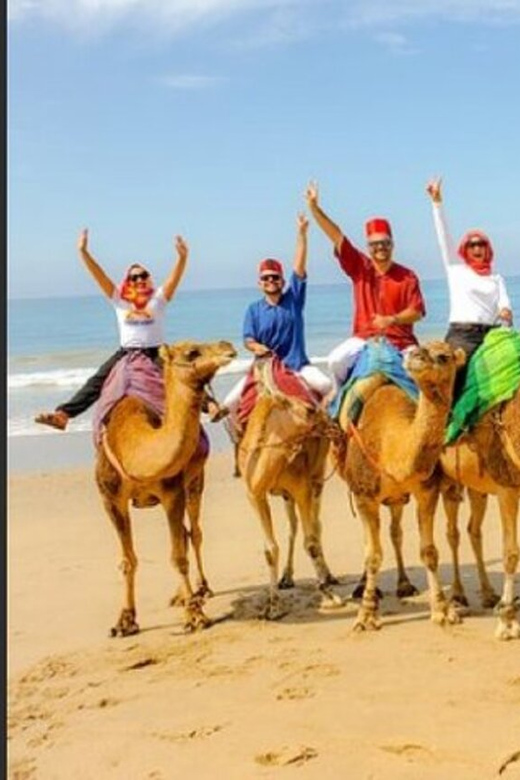 Private Tangier Tour from Gibraltar including Camel & Lunch - Explore Tangier in Comfort and Style with a Private Guided Tour from Gibraltar