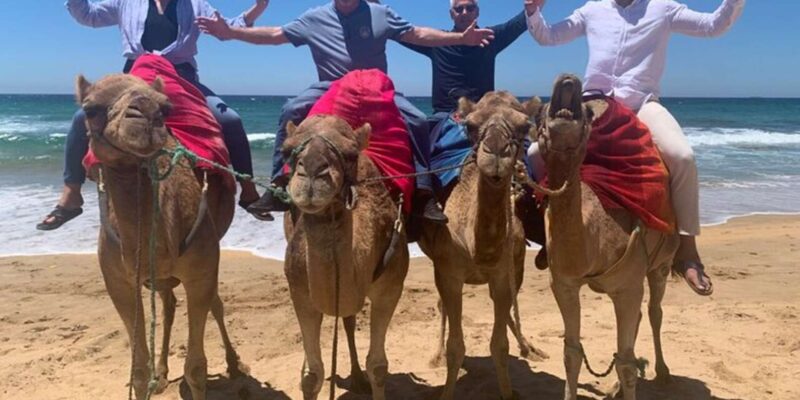 Private Tangier Tour from Gibraltar including Camel & Lunch - Discovering the Spanish Quarter and Perdicaris Park