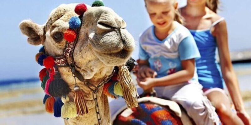 Private Tangier Tour from Gibraltar including Camel & Lunch - Who Will Benefit Most from This Tour?