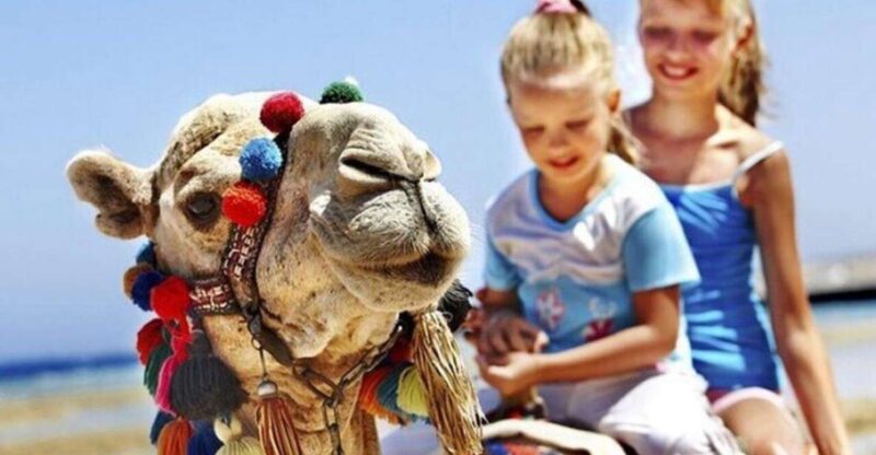 Private Tangier Tour with Lunch and Camel Ride - Shaping a Flexible and Comprehensible Itinerary