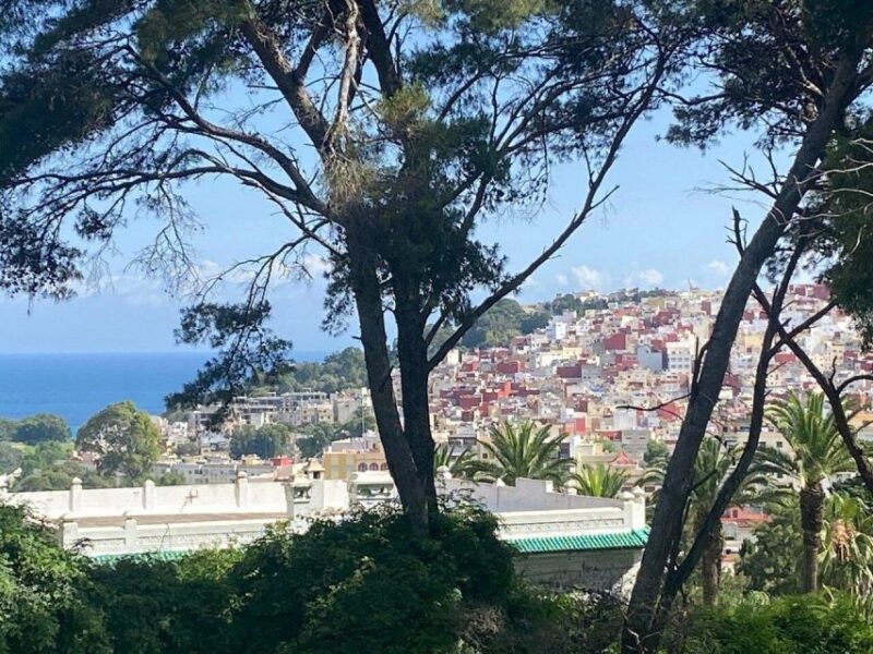 Private Tangier Tour with Lunch and Camel Ride - Practical Details and Logistics