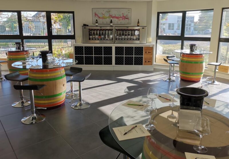 Private Tasting in Beaune : The Best of Burgundy Wines - Tasting the Top Burgundy Wines: Whites and Reds