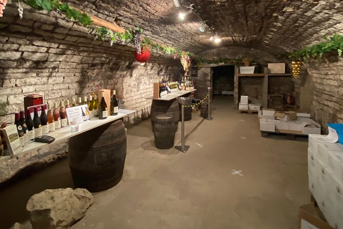 Private tasting of Burgundy wines in Saint Bris Le Vineux - Key Points