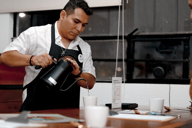 Private Tasting of Chiapas Coffees for 2 Hours - Who Should Consider This Coffee Tasting Tour