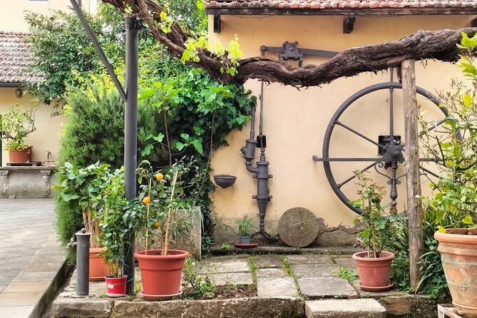 Private tasting of organic wines in the cellar in Arezzo - Key Points