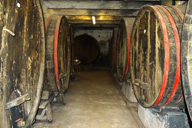 Private tasting of organic wines in the cellar in Arezzo - The Historic Cellar in Arezzo and Its Century-Old Legacy