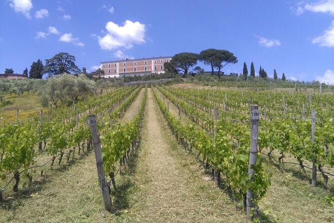 Private tasting of wines and oil to discover Lucca Ducale - Discover Lucca Ducale with an Exclusive Private Tasting Experience