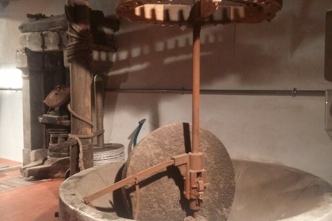 Private tasting of wines and oil to discover Lucca Ducale - Starting at Tenuta Maria Teresa in Lucca