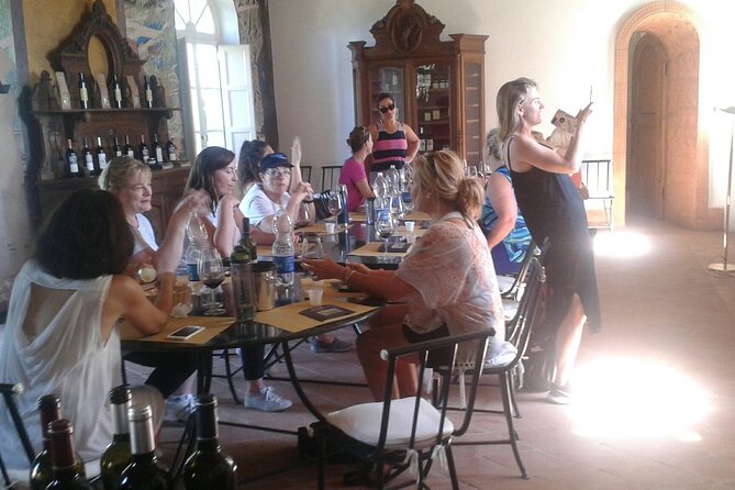 Private tasting of wines and oil to discover Lucca Ducale - Tasting Four Wines and Olive Oil