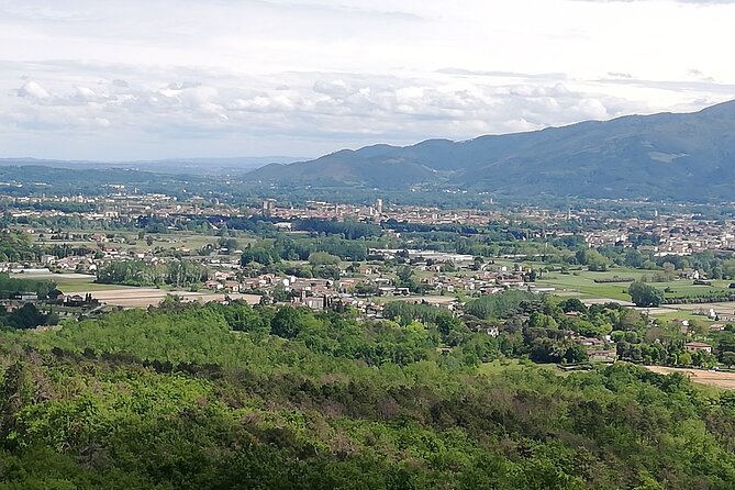 Private tasting of wines and oil to discover Lucca Ducale - Logistics and Meeting Point Details