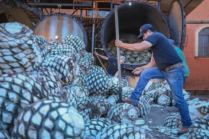 Private Tasting Tour Hacienda de Oro, Amatitan Jalisco - The Guide: Knowledgeable and Friendly Experts