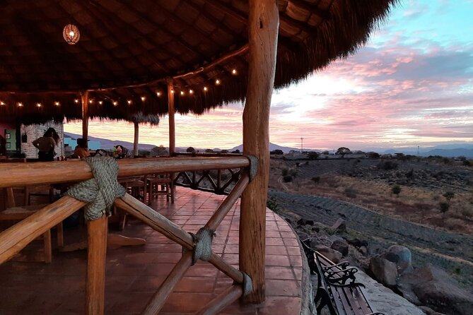 Private Tasting Tour Hacienda de Oro, Amatitan Jalisco - Tasting and Pairing: Sensory Awakening