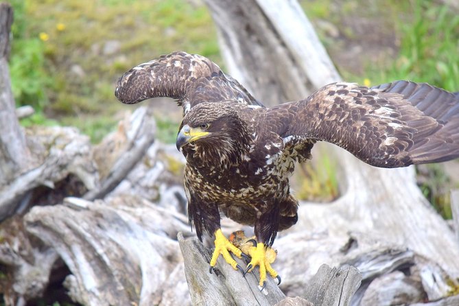 Private Taxi Tour - Visiting the Russian Orthodox Cathedral and Historic Sites