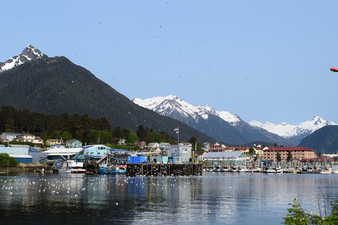 Private Taxi Tour - Discovering Marine and Bird Conservation at Sitka Sound Science Center and Raptor Center