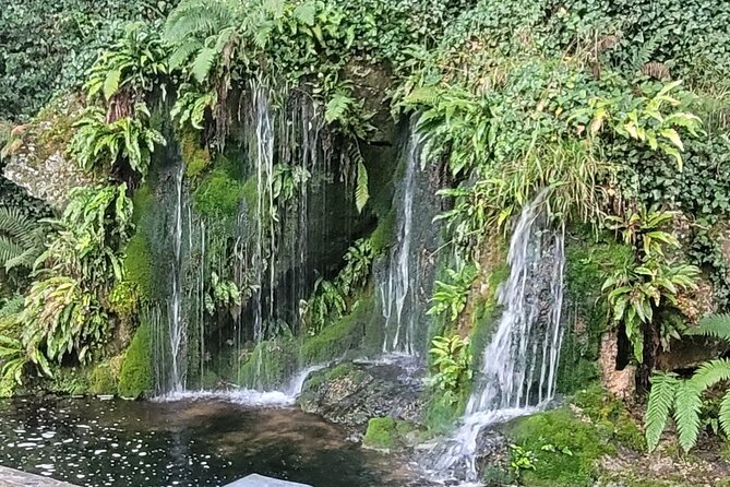 Private Taxi Tour of Blarney Castle ,Cork ,Kinsale 5 Star Rated - Key Points