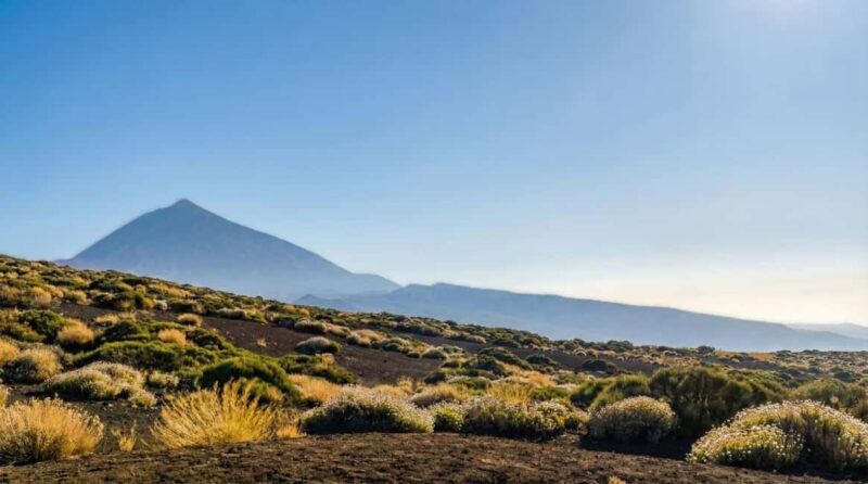 Private Teide & North Tenerife: Volcano, Valleys & Old Towns - Exploring Teide National Park’s Lunar Lava Fields