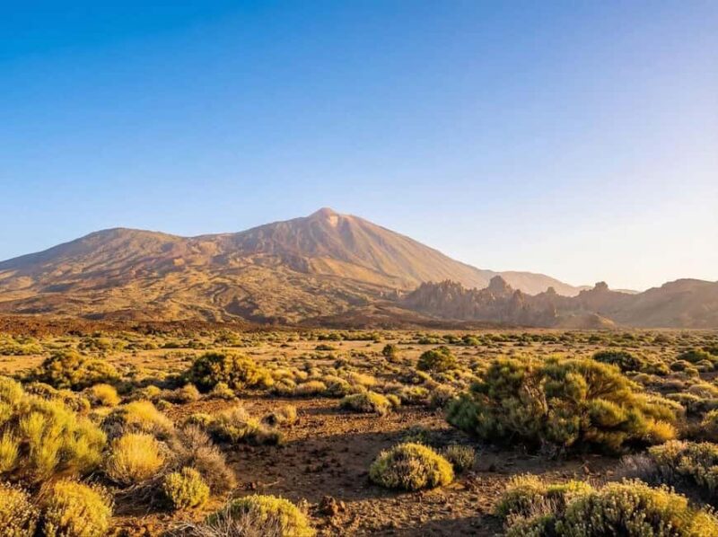 Private Teide & North Tenerife: Volcano, Valleys & Old Towns - Puerto de la Cruz: Oceanfront Charm and Colonial Architecture