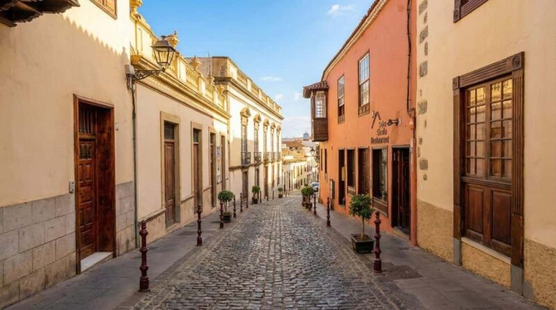 Private Teide & North Tenerife: Volcano, Valleys & Old Towns - Suitability and Best For Who?