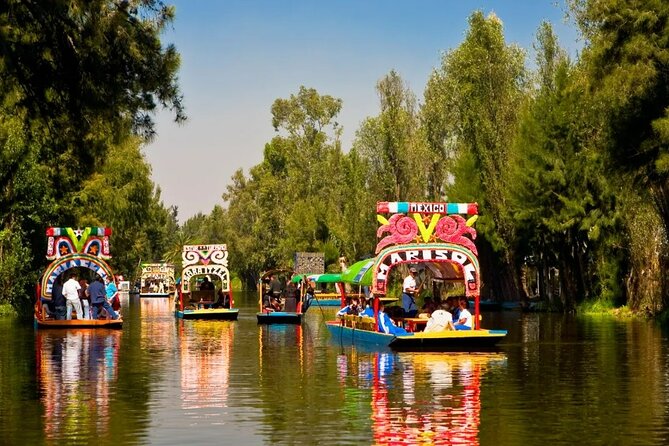 Private Tequila Craft Beer Tasting - Mexico City Floating Gardens - Unlock the Flavors of Mexico Citys Floating Gardens with a Private Tasting Tour