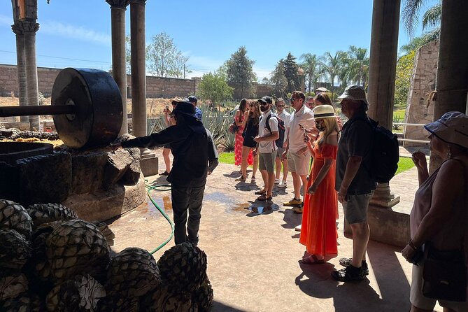 Private Tequila Tour with Local Expert - Strolling Through the Town of Tequila