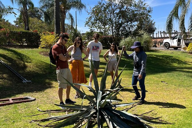 Private Tequila Tour with Local Expert - Private Tequila Experience in Guadalajara: Final Thoughts