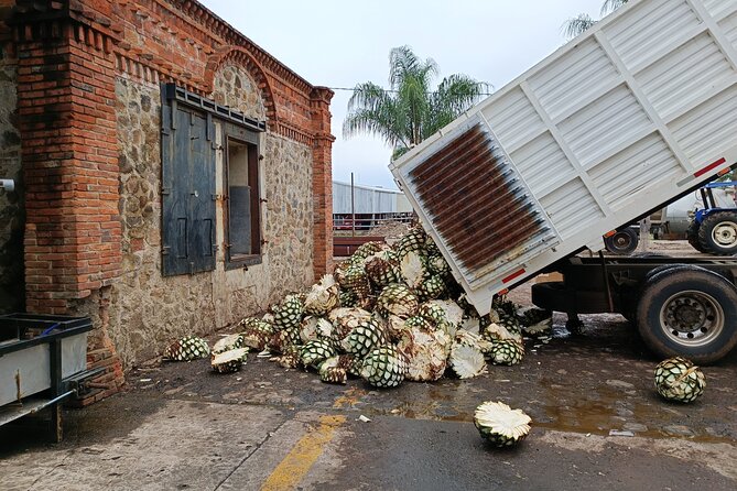 PRIVATE Tequila Valleys Tour: Pyramids, Volcanoes, Agaves&Tequila - Exploring Tasting Towns: Tequila and Its Vibrant Streets