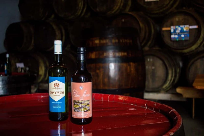 Private Terceira Island Caves: Lava Route - entrances & wine - Key Points